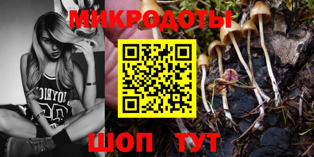 Галлюциногенные грибы Magic Shrooms  Вход с VPN  Керчь 